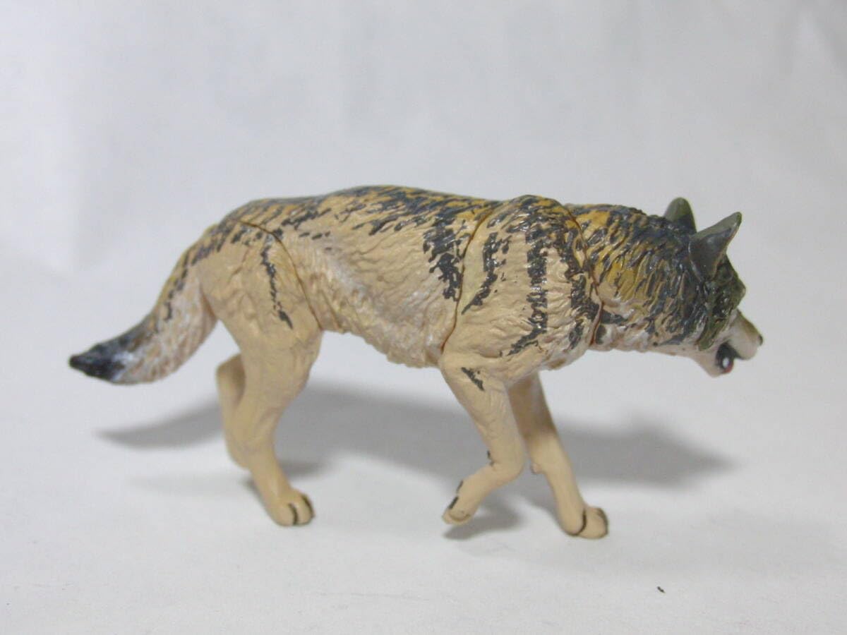 Amazon | チョコQ 11弾 日本の動物 239 エゾオオカミ ミニブック付き